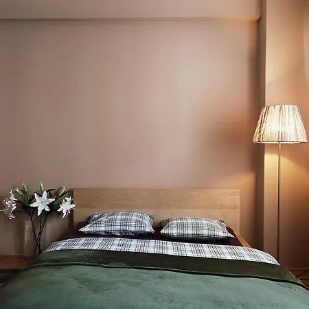 Cozy 12 Krakovska * 프라하